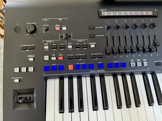 Professional Arranger Workstation photo 2