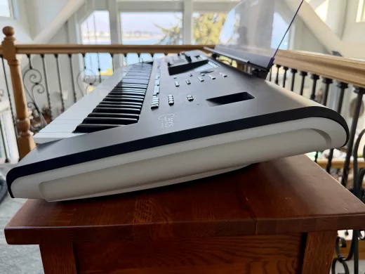 Professional Arranger Workstation photo 7